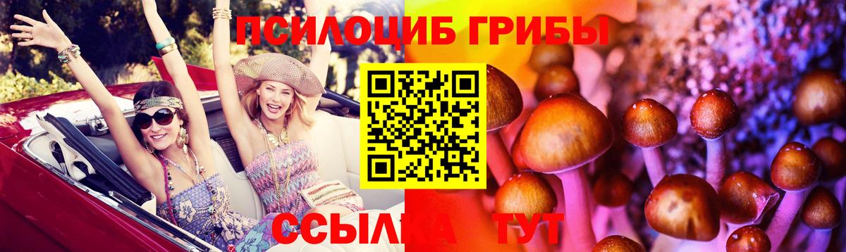 Вышний Волочёк  Псилоцибиновые грибы мухоморы  Вход с VPN 